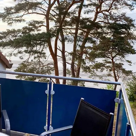 Blaumuschel Haus B 40 - Dh Apartment