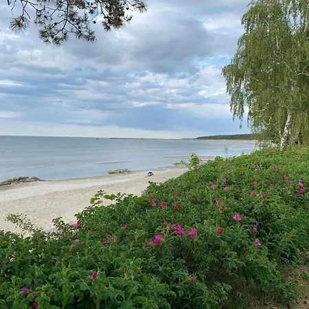 Apartment Blaumuschel Haus B 40 - Dh Lubmin