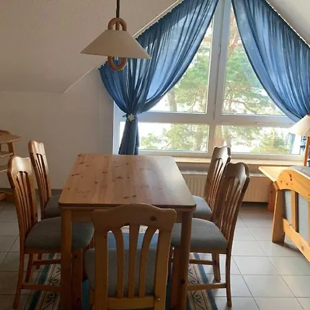 Apartment Blaumuschel Haus B 40 - Dh *