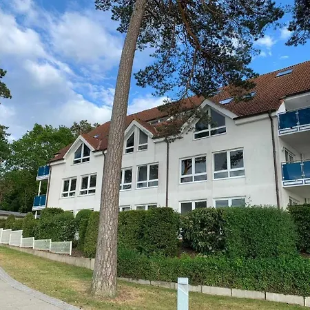 Blaumuschel Haus B 40 - Dh Apartment *